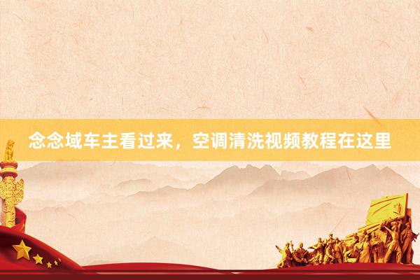 念念域车主看过来，空调清洗视频教程在这里